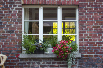 brick wall with windows and flower boxes with flowering plants