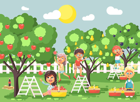 Vector illustration cartoon characters children boys and girls harvest ripe fruits autumn orchard garden from plum, pear, apple trees, put crop in full basket landscape scene outdoor flat style