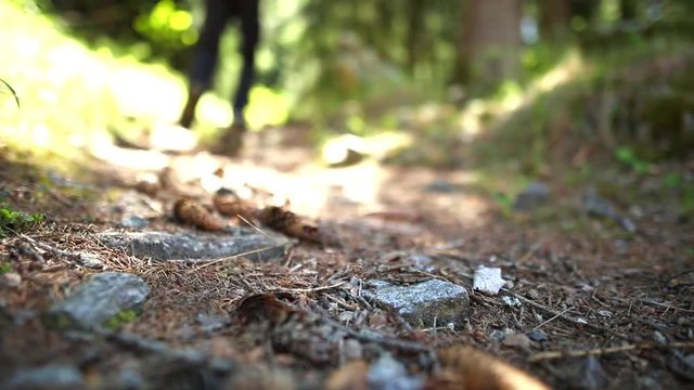 Trekking in montagna di uomo con zaino