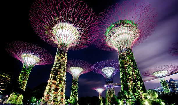 Arbres illuminés, jardin public à Singapour.
