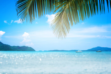 Fototapeta na wymiar blurred image Coconut leaf and beautiful sea background in summer.
