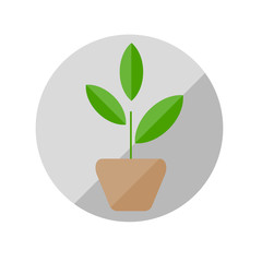 Plant in a pot flat illustration