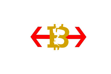 Bitcoin forked and now there are 2 types of bitcoin.