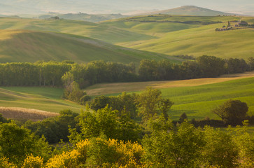 Landscape of Tuscany in the morning light