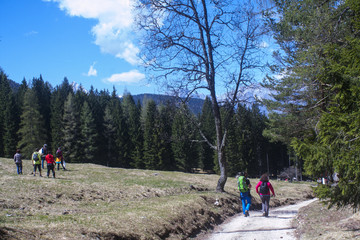 Obraz premium montain