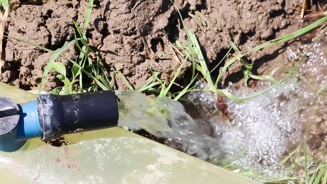 Watering