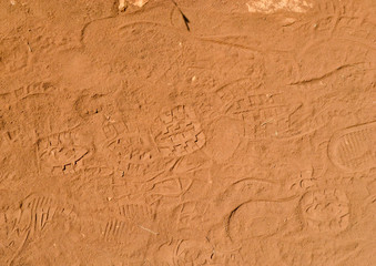 Brown footpath with footprint