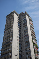 Fototapeta premium 