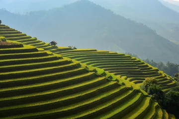 Stof per meter Mu cang chai terras rijstveld op tijdens zonsondergang, Vietnam © saravut