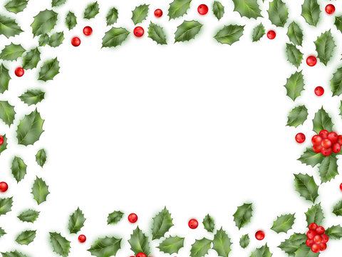 Framed holly isolated on white background. EPS 10 vector