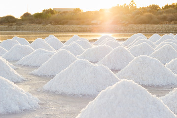 Sea salt collected in salt marsh at sunset - 166446703