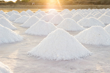 Sea salt collected in salt marsh at sunset