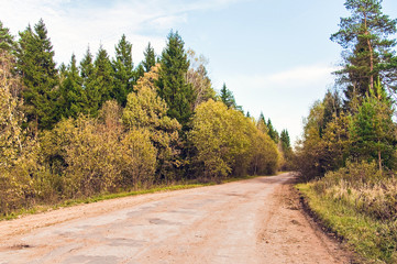 Fototapeta premium Dusty concrete road surrounded by forest in the fall