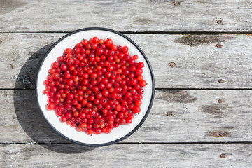 Red currant in a white bowl on a wooden texture with rusty nails. Top view. Copyspace.