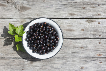 Black currant in a white bowl on a wooden texture with rusty nails. Top view. Copyspace.