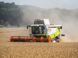 Mähdrescher bei der Ernte