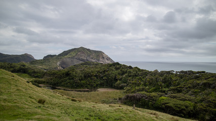 Fototapeta premium landscape