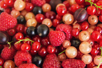 Mixed summer berries (raspberry, blackcurrant, redcurrant, white currant, gooseberry, cherry) on the white wooden background, top view.