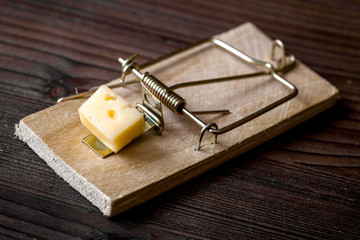 concept food for rodents in mousetrap wooden background top view