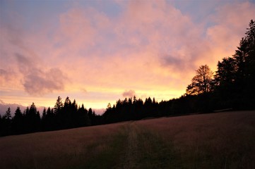 Obraz na płótnie Canvas sunset behind the trees