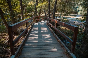 Fototapeta na wymiar puente de madera en el bosque