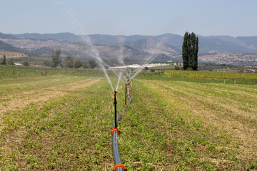Watering