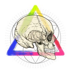 Human skull on the watercolor color triangle  background with sacral geometry. Stock vector illustration.
