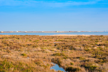 landscape river Ebro Delta in Spain, Tarragona, Catalunya. Copy space for text.