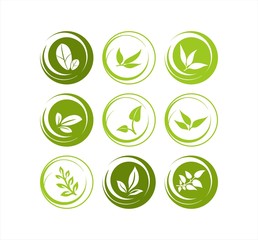 leaves, plant, icons , nature, Eco friendly business logo