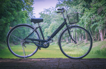 Fototapeta na wymiar Vintage bicycle parked on the road. Cool tone.