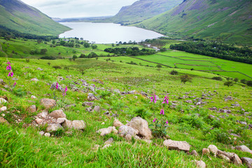 Wast Water lake, view from the path on the way to Scafell pike, the highest mountain in England, Lake District National Park, England, selective focus
