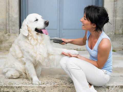 Woman Brushing Her Dog