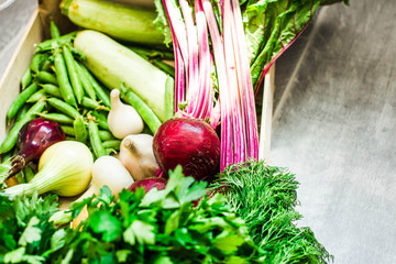 Harvest organic fresh vegetables in a wooden box in sparkling sunlight.