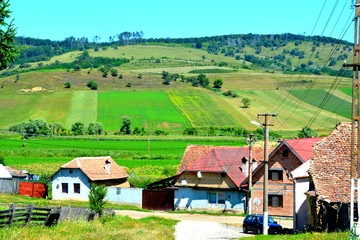 Typical rural landscape in the plains of Transylvania, Romania. Green landscape in the midsummer, in a sunny day