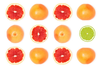 composition of fresh ripe grapefruits