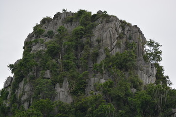 Fototapeta na wymiar A mountain with trees on it in Thailand