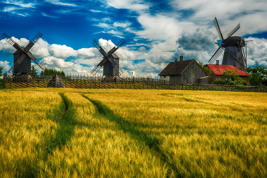 Saarema Island, Estonia: summer fields and Angla windmills in Leisi Parish
