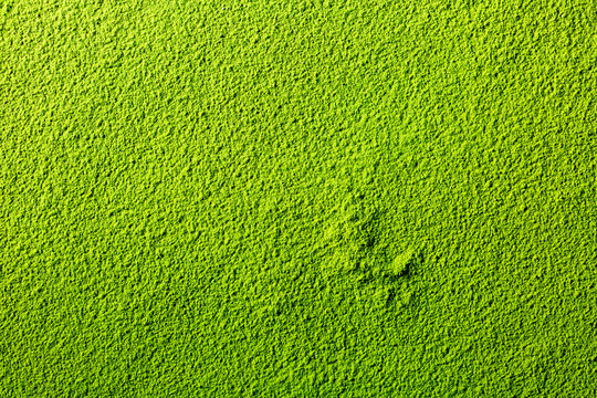 Fototapeta powdered green matcha tea image background