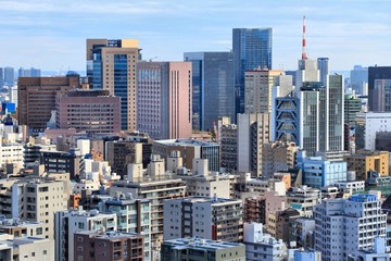 Fototapeta na wymiar Tokyo big city
