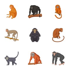 Species of chimpanzee icons set, cartoon style © ylivdesign