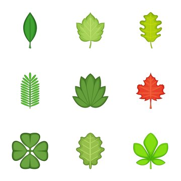 Leaves icons set, cartoon style