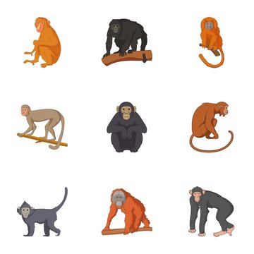 Species of chimpanzee icons set, cartoon style