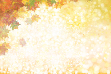 Vector autumnal leaves on bokeh background.