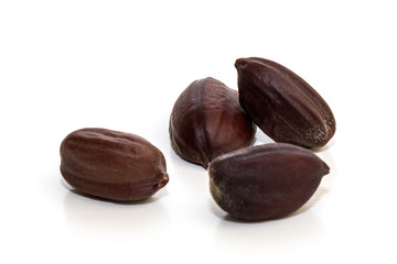 Jojoba seeds. Simmondsia Chinensis.