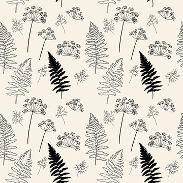 Floral vector seamless pattern with hand drawn dill flowers and fern leaves.