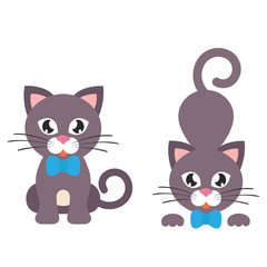 cute cat set