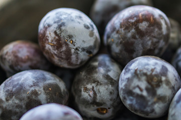 Close up of a bunch of ripe plums. Shallow depth of focus. Concept healthy eating.
