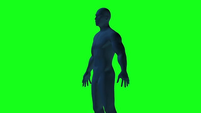 3D human body