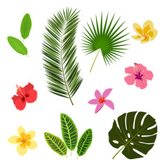 Tropical leaves and flowers, summer elements for your design, banner, flyer, poster, etc.