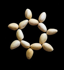 Sun pistachio
